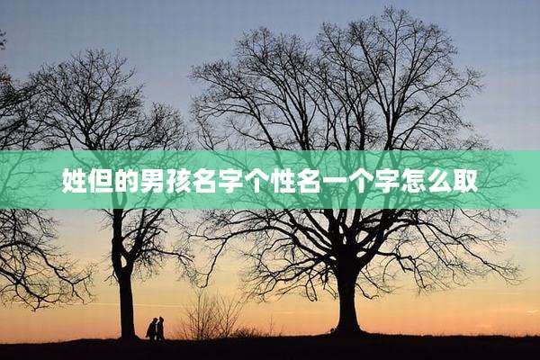 姓但的男孩名字个性名一个字怎么取