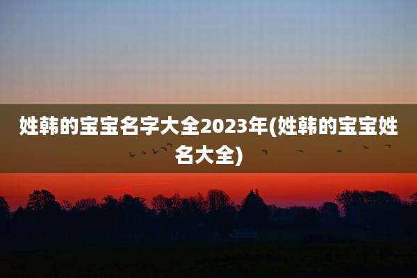姓韩的宝宝名字大全2023年(姓韩的宝宝姓名大全)