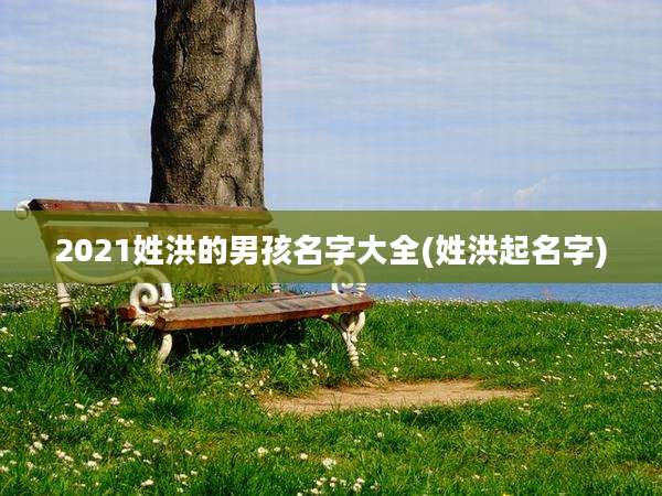 2021姓洪的男孩名字大全(姓洪起名字)