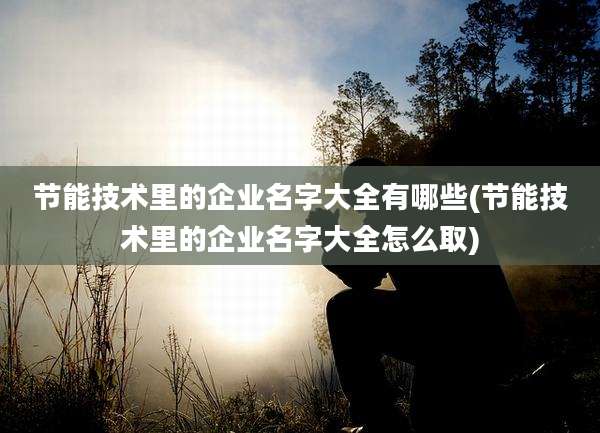 节能技术里的企业名字大全有哪些(节能技术里的企业名字大全怎么取)
