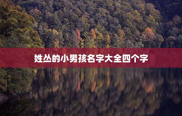 姓丛的小男孩名字大全四个字