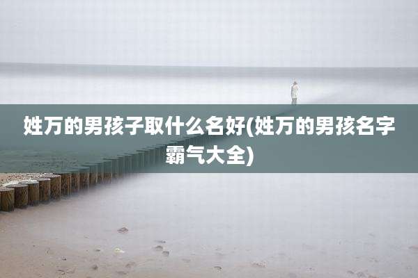 姓万的男孩子取什么名好(姓万的男孩名字霸气大全)