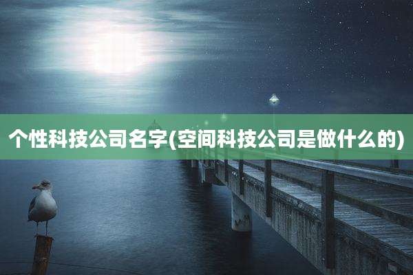 个性科技公司名字(空间科技公司是做什么的)