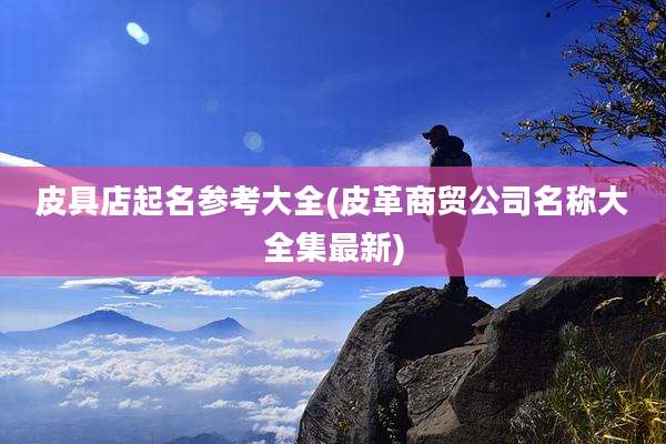 皮具店起名参考大全(皮革商贸公司名称大全集最新)