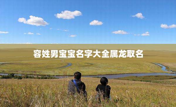 容姓男宝宝名字大全属龙取名