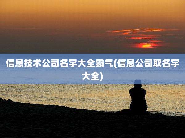 信息技术公司名字大全霸气(信息公司取名字大全)
