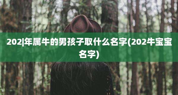 202|年属牛的男孩子取什么名字(202牛宝宝名字)