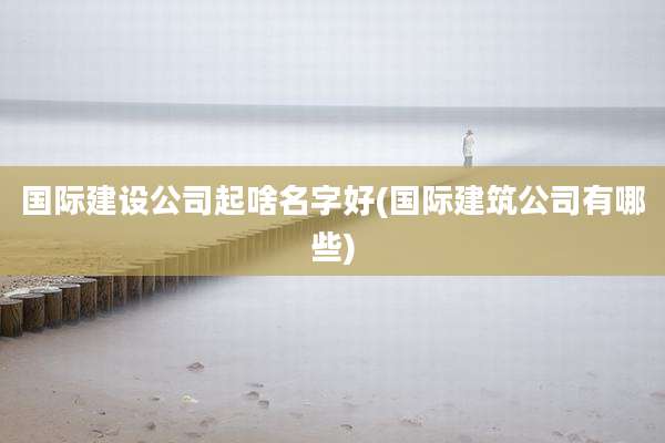 国际建设公司起啥名字好(国际建筑公司有哪些)