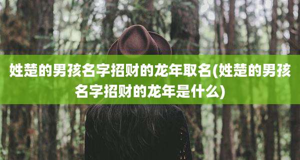 姓楚的男孩名字招财的龙年取名(姓楚的男孩名字招财的龙年是什么)