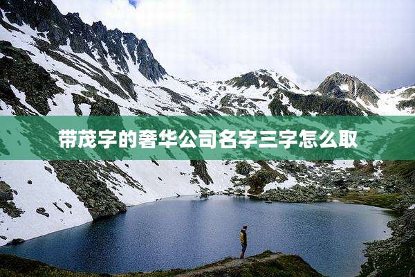 带茂字的奢华公司名字三字怎么取