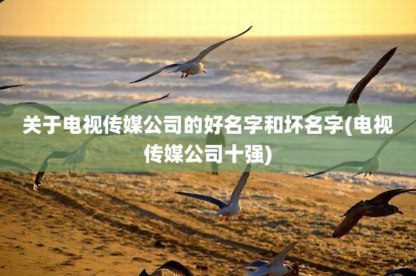 关于电视传媒公司的好名字和坏名字(电视传媒公司十强)