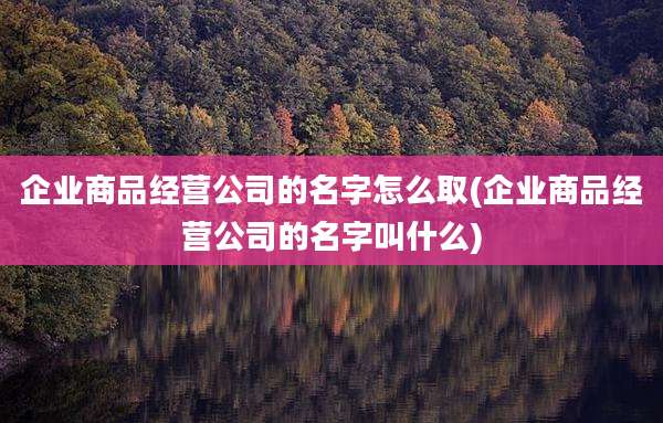 企业商品经营公司的名字怎么取(企业商品经营公司的名字叫什么)