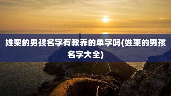 姓粟的男孩名字有教养的单字吗(姓粟的男孩名字大全)