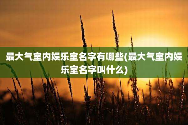 最大气室内娱乐室名字有哪些(最大气室内娱乐室名字叫什么)