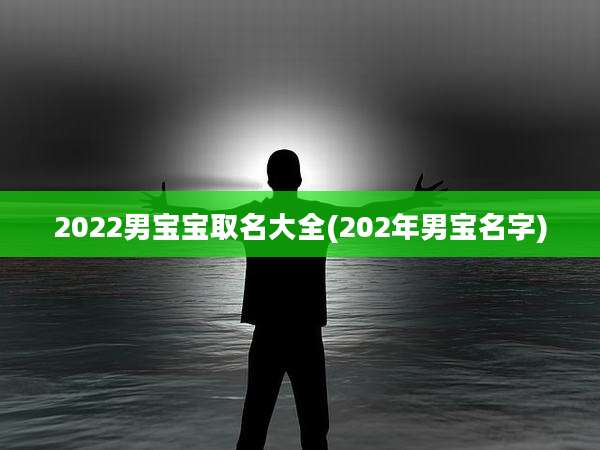 2022男宝宝取名大全(202年男宝名字)
