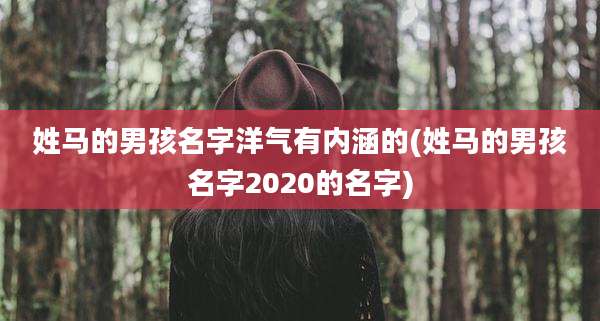 姓马的男孩名字洋气有内涵的(姓马的男孩名字2020的名字)
