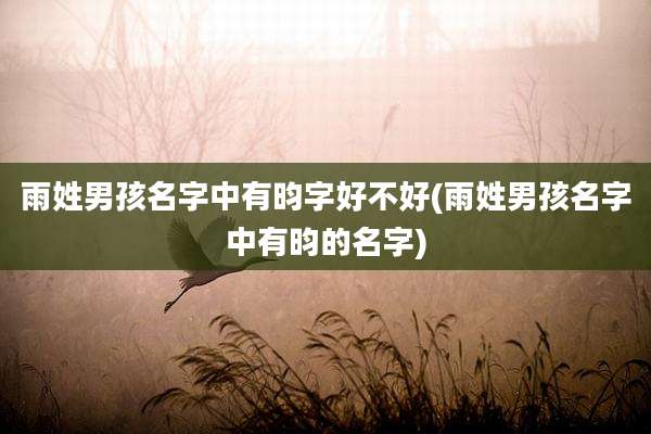 雨姓男孩名字中有昀字好不好(雨姓男孩名字中有昀的名字)