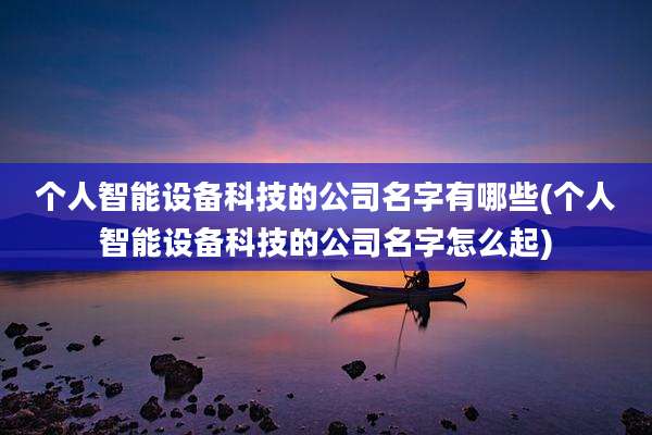 个人智能设备科技的公司名字有哪些(个人智能设备科技的公司名字怎么起)