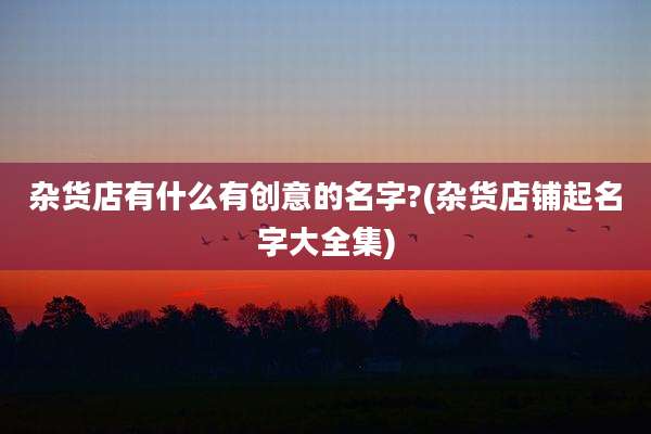 杂货店有什么有创意的名字?(杂货店铺起名字大全集)
