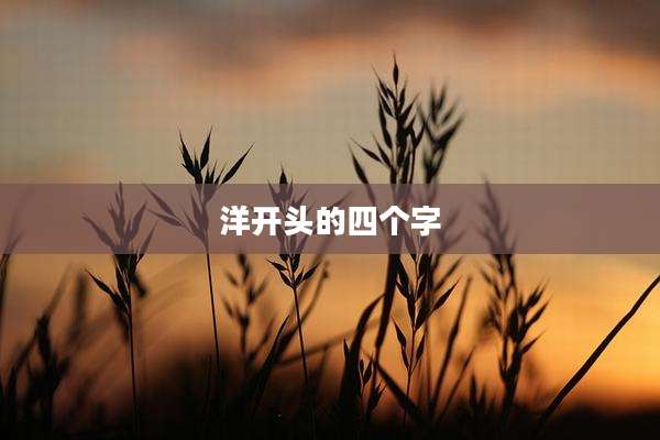洋开头的四个字