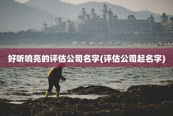 好听响亮的评估公司名字(评估公司起名字)