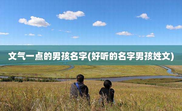 文气一点的男孩名字(好听的名字男孩姓文)