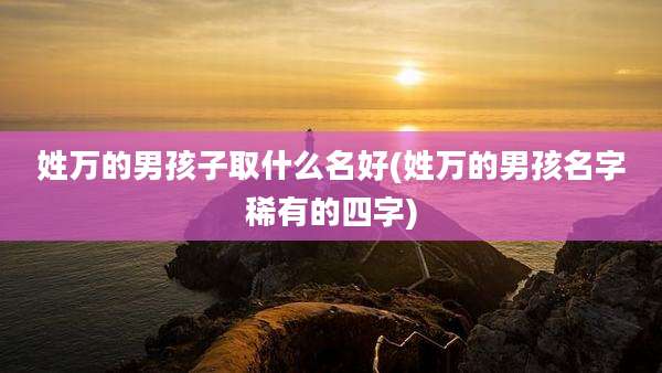 姓万的男孩子取什么名好(姓万的男孩名字稀有的四字)