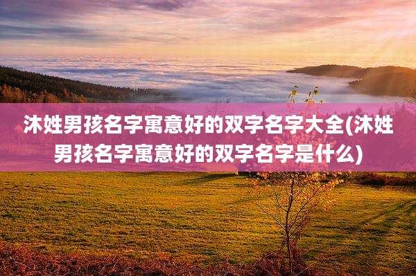 沐姓男孩名字寓意好的双字名字大全(沐姓男孩名字寓意好的双字名字是什么)