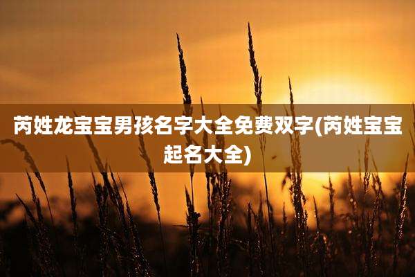 芮姓龙宝宝男孩名字大全免费双字(芮姓宝宝起名大全)