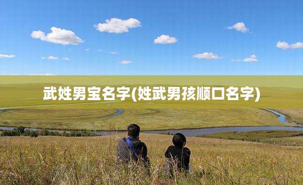 武姓男宝名字(姓武男孩顺口名字)