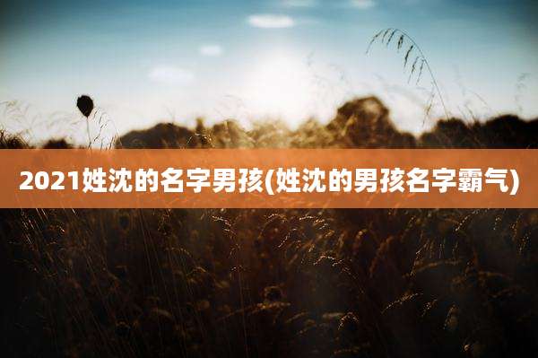 2021姓沈的名字男孩(姓沈的男孩名字霸气)