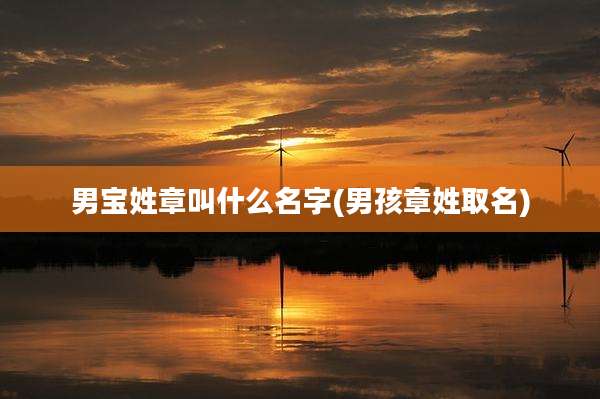 男宝姓章叫什么名字(男孩章姓取名)