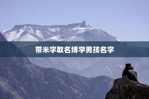 带米字取名博学男孩名字