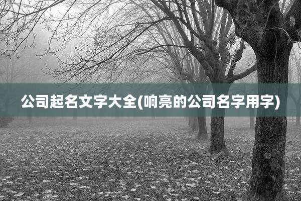 公司起名文字大全(响亮的公司名字用字)