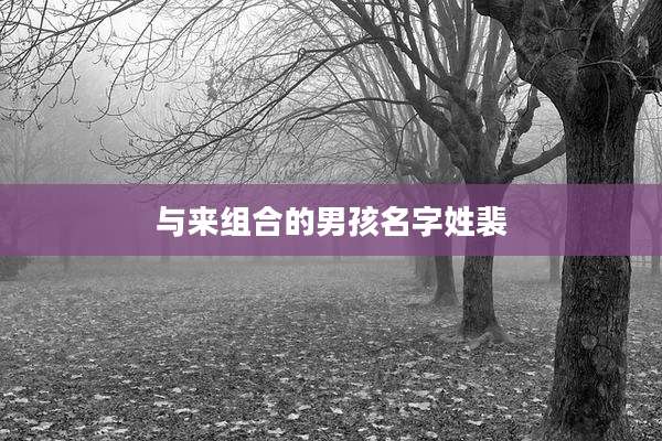 与来组合的男孩名字姓裴