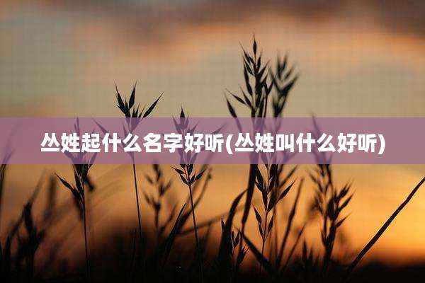 丛姓起什么名字好听(丛姓叫什么好听)