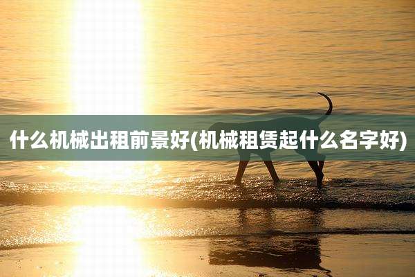 什么机械出租前景好(机械租赁起什么名字好)