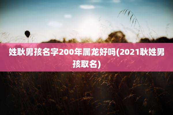 姓耿男孩名字200年属龙好吗(2021耿姓男孩取名)
