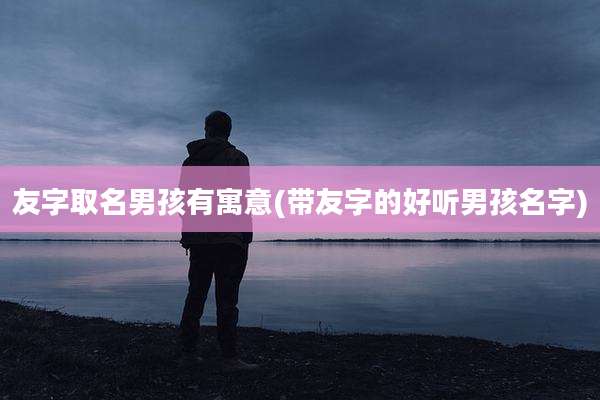 友字取名男孩有寓意(带友字的好听男孩名字)