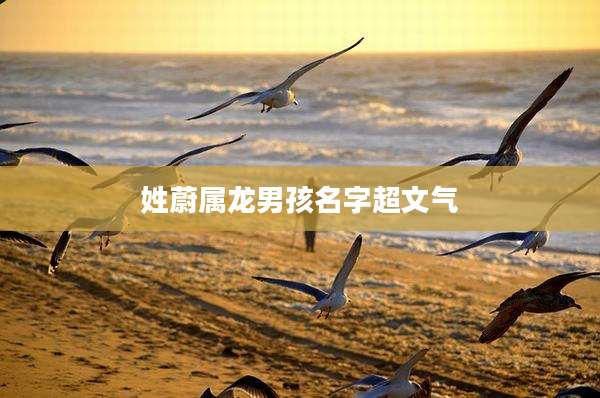姓蔚属龙男孩名字超文气