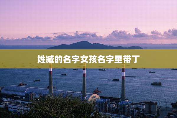 姓臧的名字女孩名字里带丁
