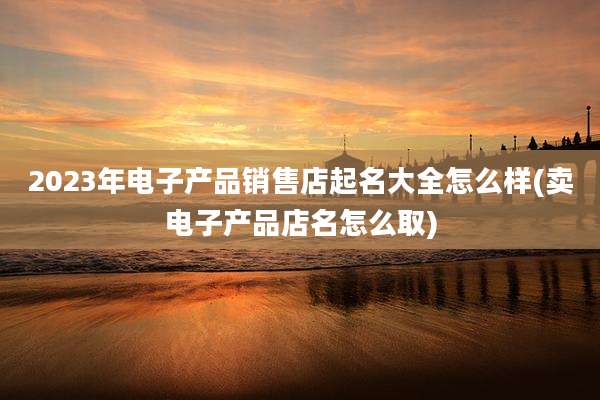 2023年电子产品销售店起名大全怎么样(卖电子产品店名怎么取)