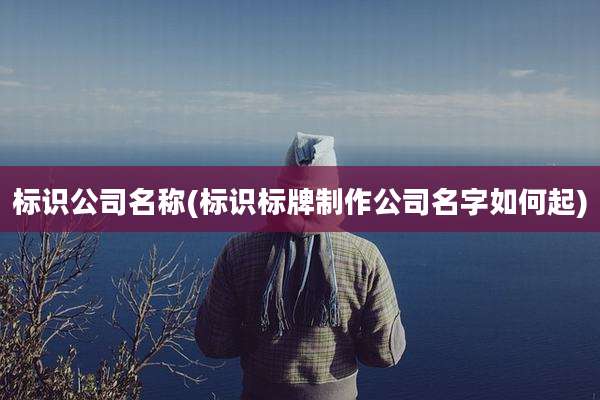 标识公司名称(标识标牌制作公司名字如何起)