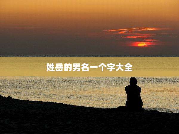 姓岳的男名一个字大全