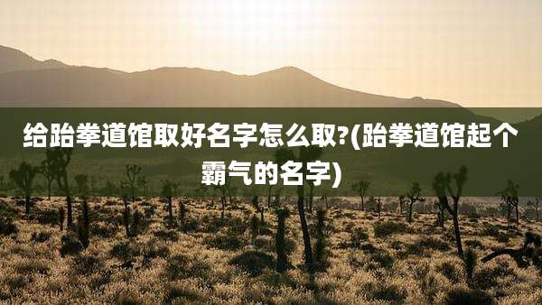 给跆拳道馆取好名字怎么取?(跆拳道馆起个霸气的名字)