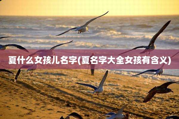 夏什么女孩儿名字(夏名字大全女孩有含义)
