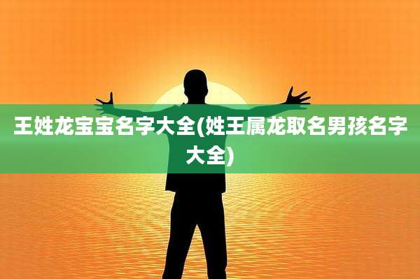 王姓龙宝宝名字大全(姓王属龙取名男孩名字大全)