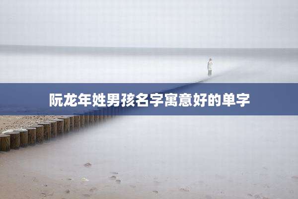 阮龙年姓男孩名字寓意好的单字