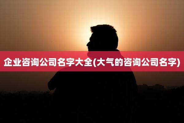 企业咨询公司名字大全(大气的咨询公司名字)
