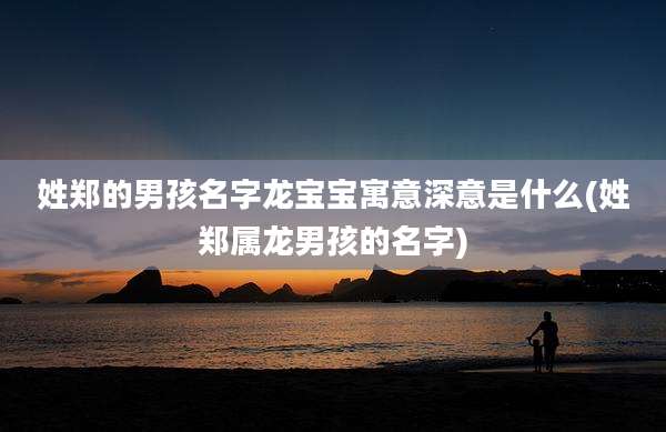 姓郑的男孩名字龙宝宝寓意深意是什么(姓郑属龙男孩的名字)